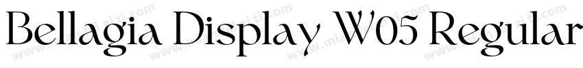 Bellagia Display W05 Regular字体转换